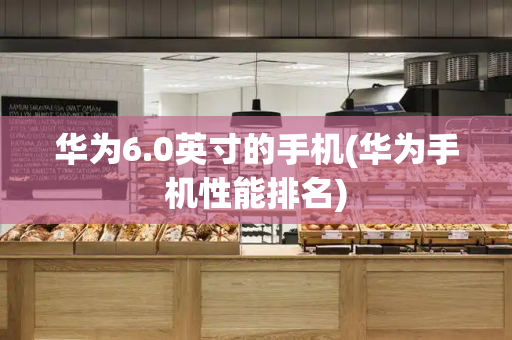 华为6.0英寸的手机(华为手机性能排名)-第1张图片-星选测评