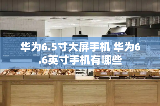 华为6.5寸大屏手机 华为6.6英寸手机有哪些-第1张图片-星选测评
