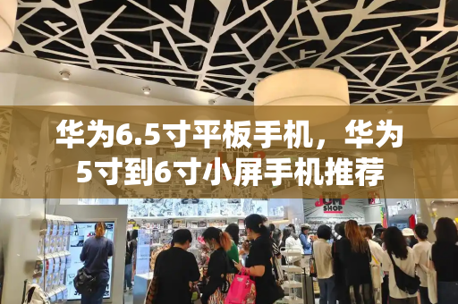华为6.5寸平板手机，华为5寸到6寸小屏手机推荐