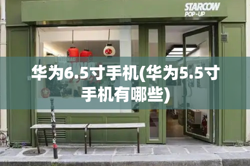 华为6.5寸手机(华为5.5寸手机有哪些)-第1张图片-星选测评
