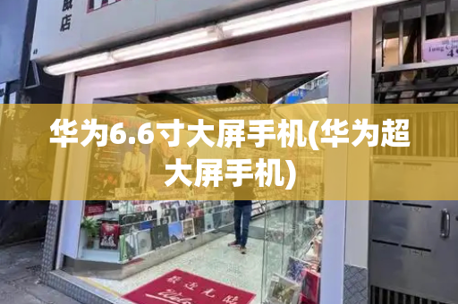 华为6.6寸大屏手机(华为超大屏手机)-第1张图片-星选测评