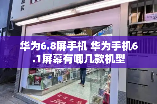 华为6.8屏手机 华为手机6.1屏幕有哪几款机型-第1张图片-星选测评