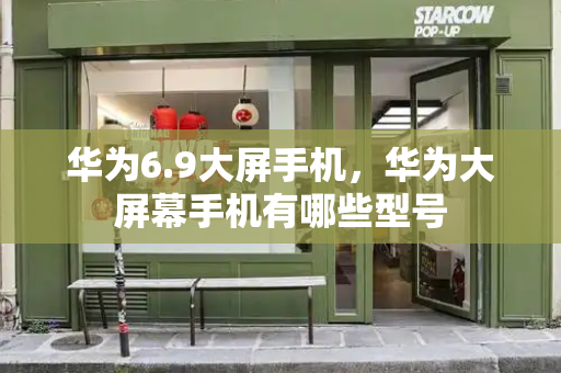 华为6.9大屏手机，华为大屏幕手机有哪些型号-第1张图片-星选测评