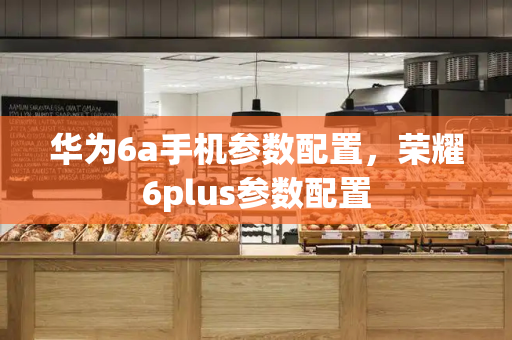 华为6a手机参数配置，荣耀6plus参数配置