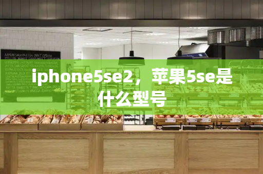 iphone5se2，苹果5se是什么型号-第1张图片-星选测评