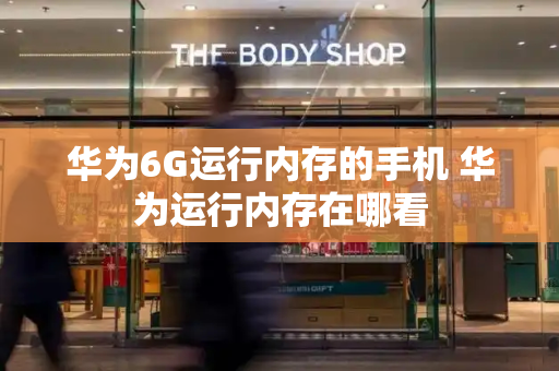 华为6G运行内存的手机 华为运行内存在哪看