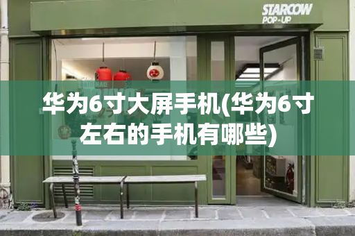 华为6寸大屏手机(华为6寸左右的手机有哪些)-第1张图片-星选测评