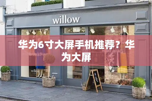 华为6寸大屏手机推荐？华为大屏
