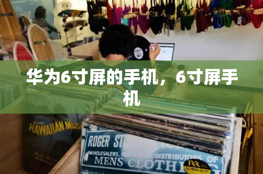 华为6寸屏的手机，6寸屏手机-第1张图片-星选测评