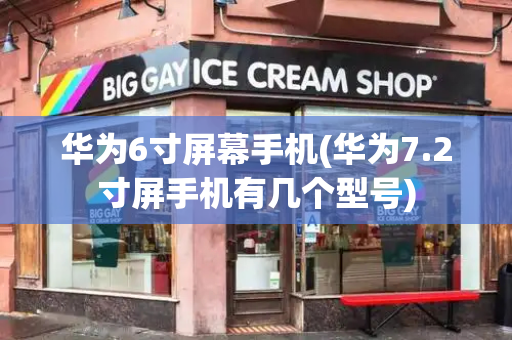 华为6寸屏幕手机(华为7.2寸屏手机有几个型号)-第1张图片-星选测评