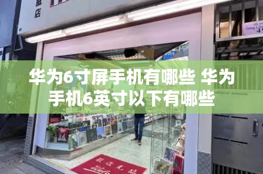 华为6寸屏手机有哪些 华为手机6英寸以下有哪些-第1张图片-星选测评