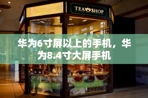 华为6寸屏以上的手机，华为8.4寸大屏手机-第1张图片-星选测评