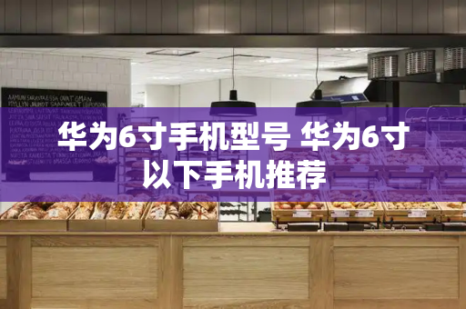华为6寸手机型号 华为6寸以下手机推荐-第1张图片-星选测评