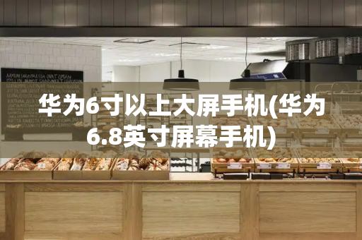 华为6寸以上大屏手机(华为6.8英寸屏幕手机)-第1张图片-星选测评