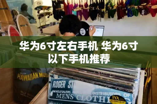 华为6寸左右手机 华为6寸以下手机推荐-第1张图片-星选测评