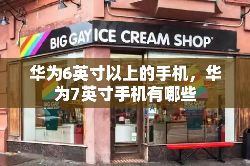 华为6英寸以上的手机，华为7英寸手机有哪些-第1张图片-星选测评