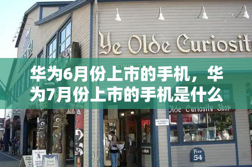 华为6月份上市的手机，华为7月份上市的手机是什么型号