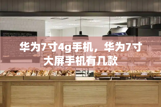 华为7寸4g手机，华为7寸大屏手机有几款-第1张图片-星选测评
