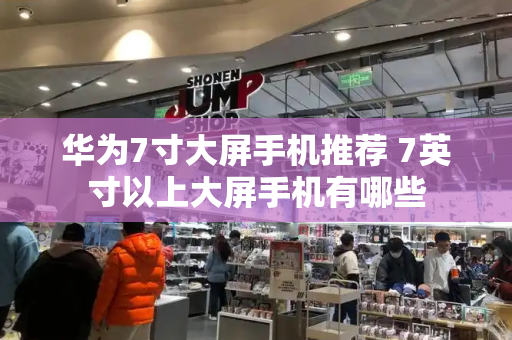 华为7寸大屏手机推荐 7英寸以上大屏手机有哪些-第1张图片-星选测评