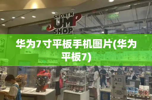 华为7寸平板手机图片(华为平板7)