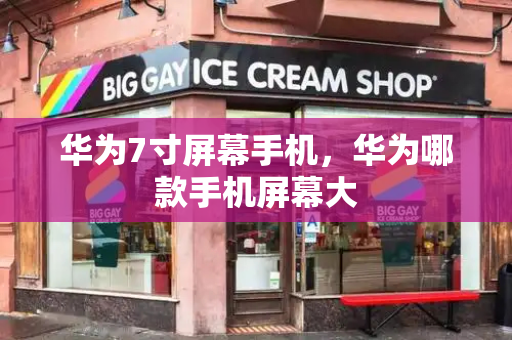 华为7寸屏幕手机，华为哪款手机屏幕大-第1张图片-星选测评