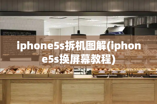 iphone5s拆机图解(iphone5s换屏幕教程)-第1张图片-星选测评
