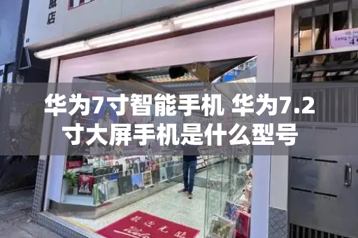 华为7寸智能手机 华为7.2寸大屏手机是什么型号-第1张图片-星选测评