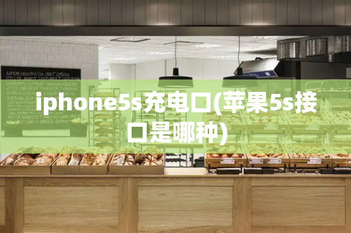 iphone5s充电口(苹果5s接口是哪种)-第1张图片-星选测评