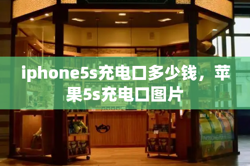 iphone5s充电口多少钱，苹果5s充电口图片-第1张图片-星选测评