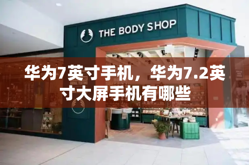 华为7英寸手机，华为7.2英寸大屏手机有哪些-第1张图片-星选测评