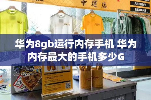 华为8gb运行内存手机 华为内存最大的手机多少G-第1张图片-星选测评