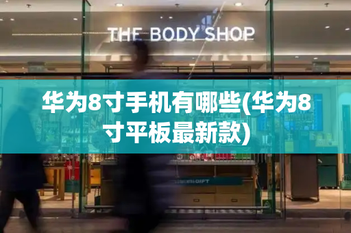 华为8寸手机有哪些(华为8寸平板最新款)