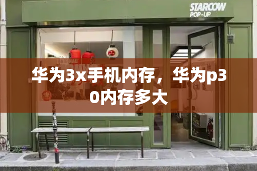 华为3x手机内存，华为p30内存多大-第1张图片-星选测评