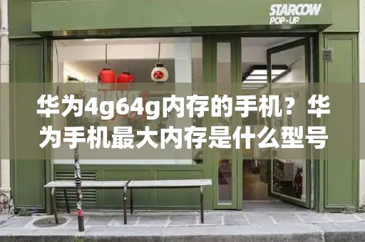 华为4g64g内存的手机？华为手机最大内存是什么型号的手机