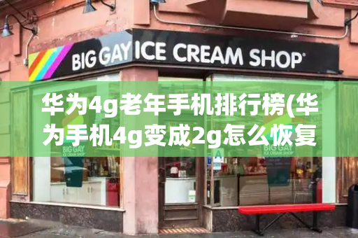 华为4g老年手机排行榜(华为手机4g变成2g怎么恢复)