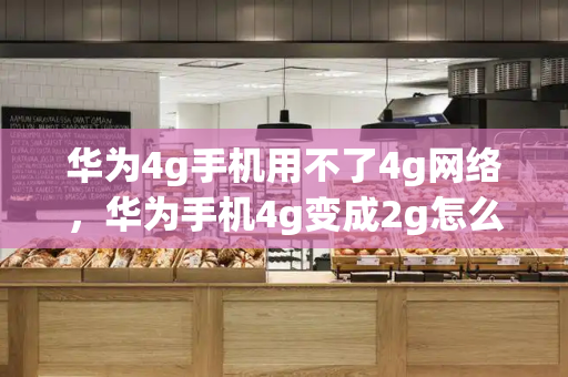 华为4g手机用不了4g网络，华为手机4g变成2g怎么恢复-第1张图片-星选测评