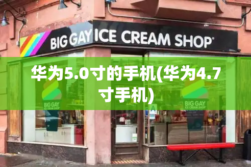 华为5.0寸的手机(华为4.7寸手机)-第1张图片-星选测评