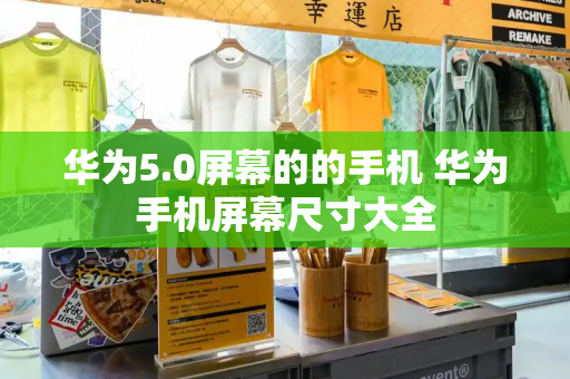 华为5.0屏幕的的手机 华为手机屏幕尺寸大全-第1张图片-星选测评
