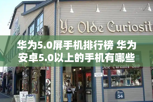 华为5.0屏手机排行榜 华为安卓5.0以上的手机有哪些-第1张图片-星选测评