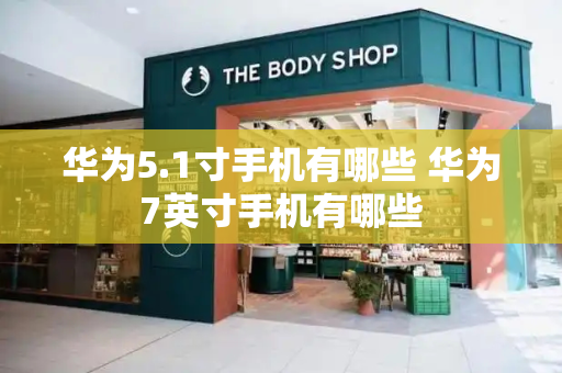 华为5.1寸手机有哪些 华为7英寸手机有哪些-第1张图片-星选测评