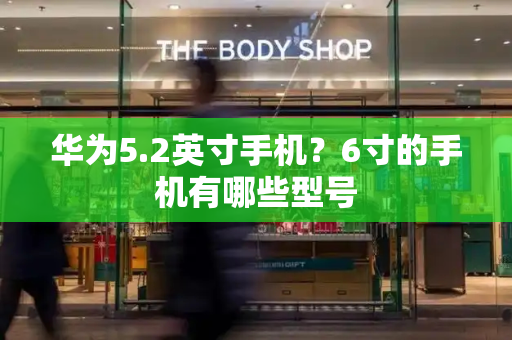 华为5.2英寸手机？6寸的手机有哪些型号-第1张图片-星选测评