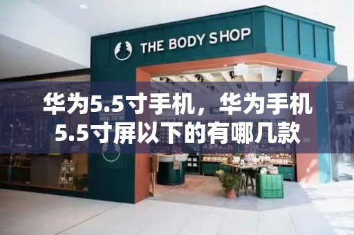 华为5.5寸手机，华为手机5.5寸屏以下的有哪几款