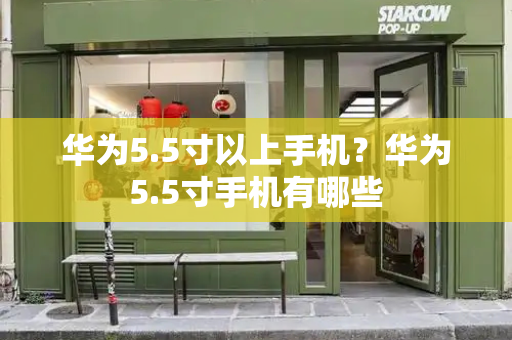 华为5.5寸以上手机？华为5.5寸手机有哪些-第1张图片-星选测评