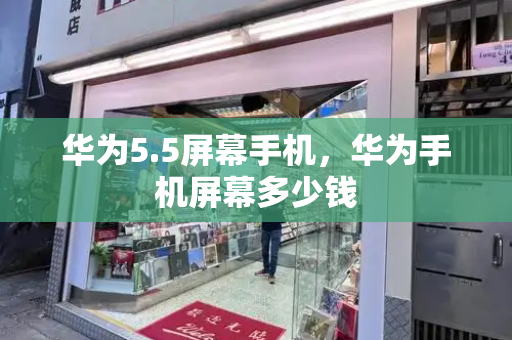 华为5.5屏幕手机，华为手机屏幕多少钱-第1张图片-星选测评