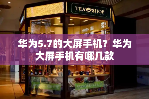 华为5.7的大屏手机？华为大屏手机有哪几款-第1张图片-星选测评