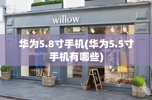 华为5.8寸手机(华为5.5寸手机有哪些)-第1张图片-星选测评