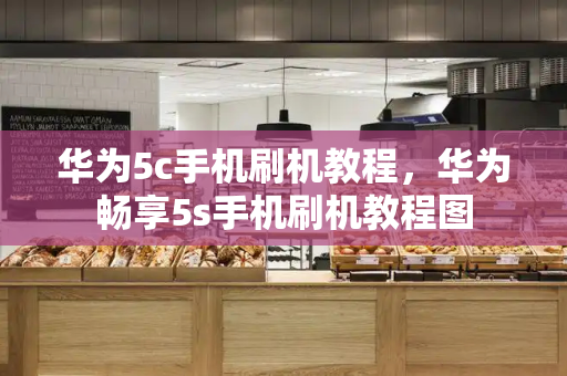 华为5c手机刷机教程，华为畅享5s手机刷机教程图-第1张图片-星选测评