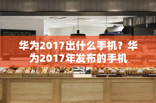 华为2017出什么手机？华为2017年发布的手机-第1张图片-星选测评