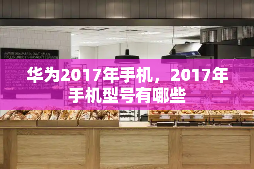 华为2017年手机，2017年手机型号有哪些-第1张图片-星选测评