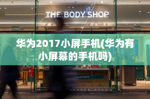 华为2017小屏手机(华为有小屏幕的手机吗)-第1张图片-星选测评